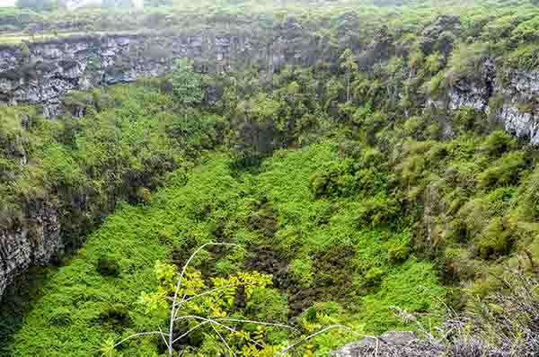98 - Ecuador - islas Galapagos - isla Santa Cruz - Los Gemelos
